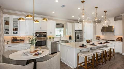 1003 Tassleflower Trail, St Cloud FL - photo 6 of 6