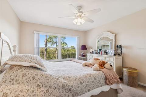 1059 S Pointe Alexis Dr, Tarpon Springs FL - photo 19 of 80