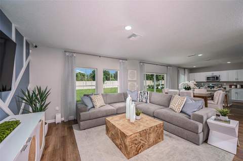 31731 Oyster Trellis Lane, Wesley Chapel FL - photo 12 of 24