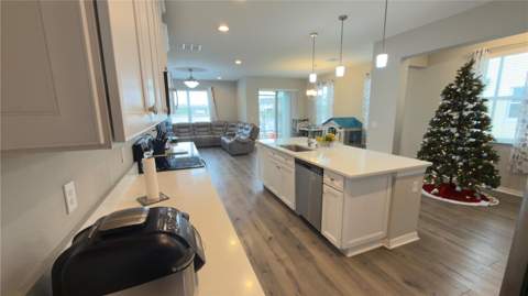 2501 Stapleford Place, Wesley Chapel FL - photo 8 of 31