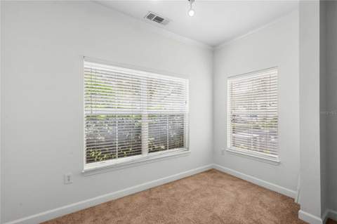 18525 Bridle Club Drive #18525, Tampa FL - photo 11 of 38