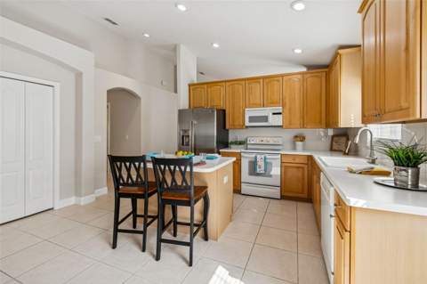353 Bay Arbor Boulevard, Oldsmar FL - photo 9 of 29
