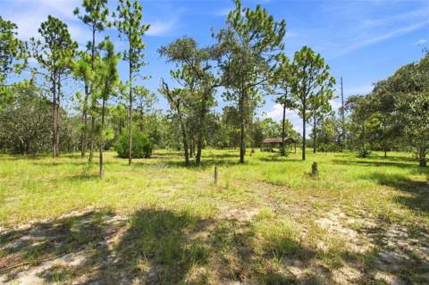 8279 Sunshine Grove Road, Brooksville FL - photo 7 of 76