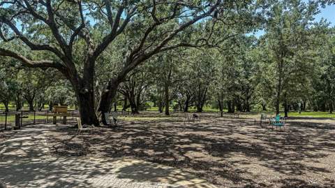 229 Streamwater Way, Groveland FL - photo 15 of 21