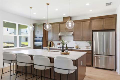 1595 Stoneclifff Drive, Apopka FL - photo 15 of 45