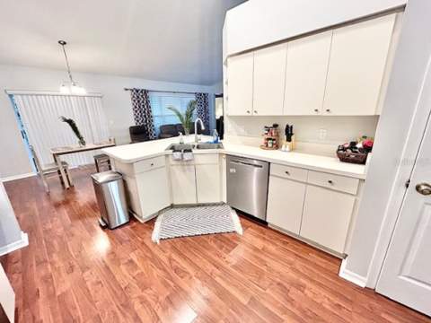 1135 Big Sky Drive, Wesley Chapel FL - photo 12 of 30