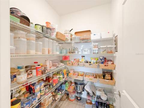 13993 Title Way, Winter Garden FL - photo 12 of 59