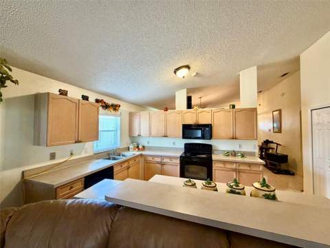 2319 Lily Pad Lane, Kissimmee FL - photo 15 of 36