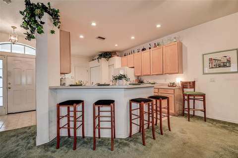 10109 Mowry Lane, Tampa FL - photo 8 of 25