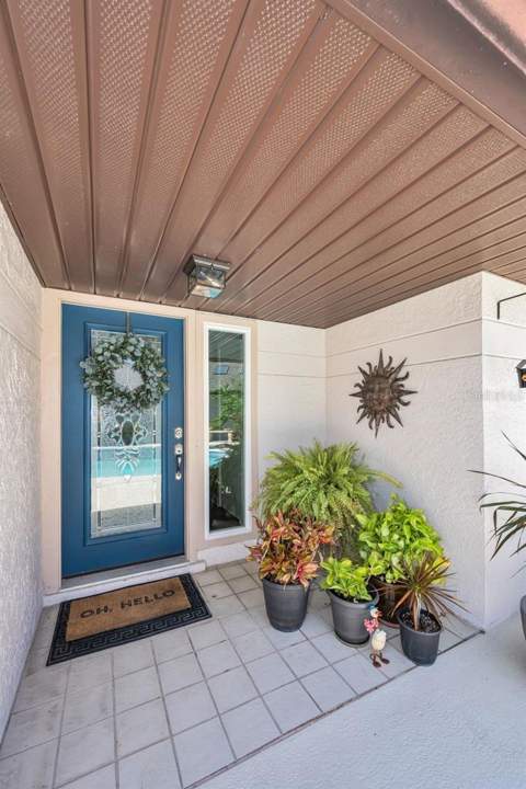 6923 Silvermill Drive, Tampa FL - photo 10 of 64