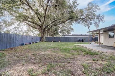 6601 Harvey Street, Orlando FL - photo 22 of 34