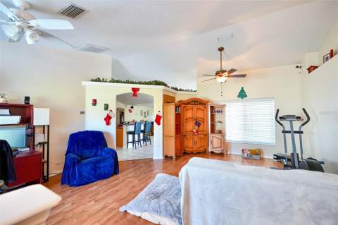 14345 Sanhatchee Street, Clermont FL - photo 8 of 30