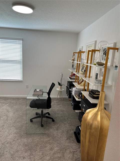 8946 Fluffy Lie Court, Davenport FL - photo 21 of 42
