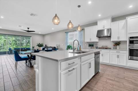 13659 Stansil Avenue, Odessa FL - photo 7 of 67