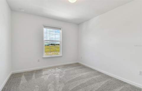 10206 Cross River Trail, Parrish FL - photo 15 of 29