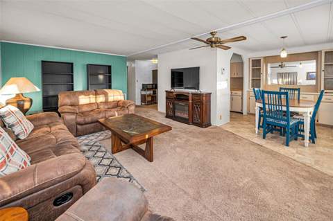 3318 Carnation Lane, Zephyrhills FL - photo 17 of 63