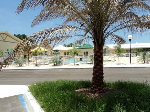 814 Turf, Venice FL - photo 17 of 21