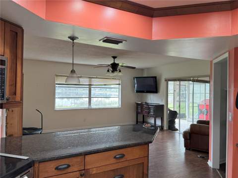 3922 Lake Joyce Drive, Land O Lakes FL - photo 15 of 63