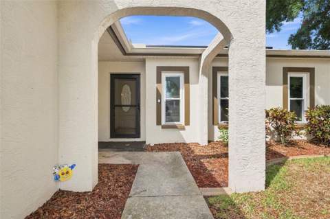 2460 Beacon Groves Boulevard, Palm Harbor FL - photo 6 of 6