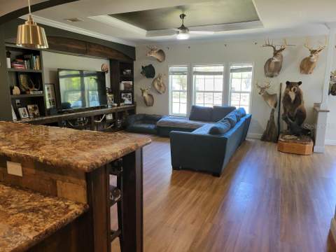 22397 Mondon Hill Road, Brooksville FL - photo 8 of 53