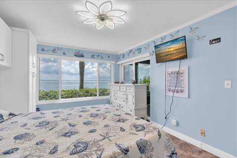 6372 Palma Del Mar Boulevard #111, St Petersburg FL - photo 15 of 44