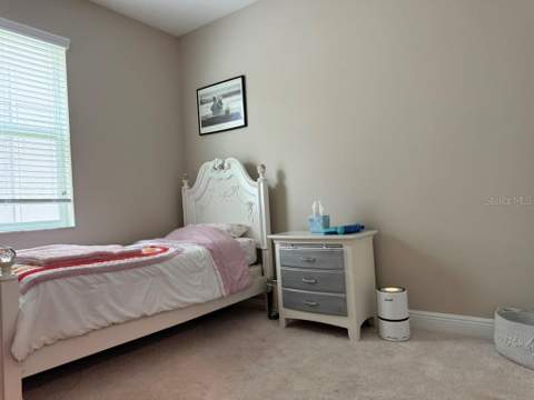 7749 Bronze Oak Drive, Wesley Chapel FL - photo 15 of 38