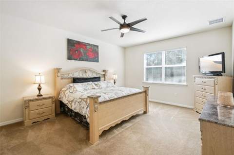 11121 Lemay Drive, Clermont FL - photo 21 of 67