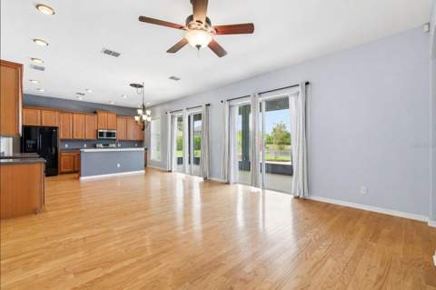 20629 Wild Plum Court, Land O Lakes FL - photo 12 of 89