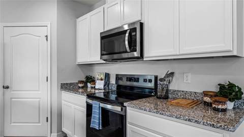 9777 Brave Buck Avenue, Land O Lakes FL - photo 9 of 25