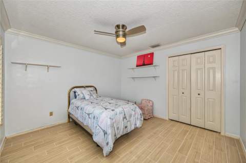 2233 Pinnacle Circle, Palm Harbor FL - photo 12 of 49