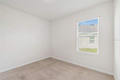 35525 Stella Vast Drive, Zephyrhills FL - photo 14 of 51
