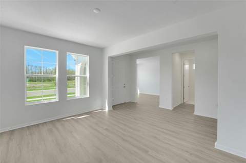 17417 Valleywood Parkway, Land O Lakes FL - photo 11 of 55