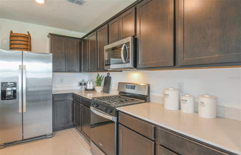 9911 Trellis Vine Way, Parrish FL - photo 6 of 6