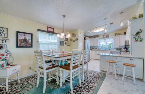 214 Dolphin Drive, Oldsmar FL - photo 10 of 46