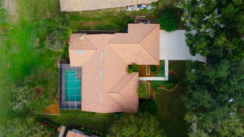 2194 Pinnacle Circle, Palm Harbor FL - photo 6 of 6