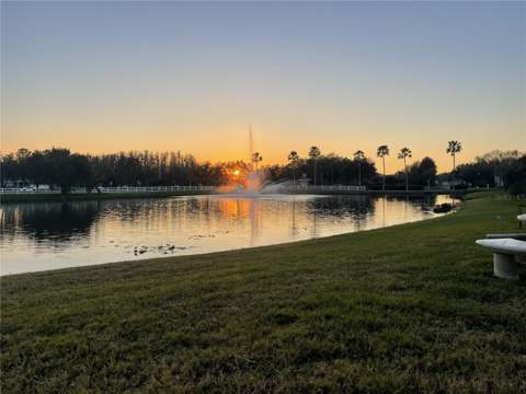 10503 Palm Cove Avenue, Tampa FL - photo 13 of 94