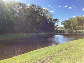 17522 Nectar Flume Drive, Land O Lakes FL - photo 12 of 13