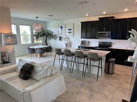 8946 Fluffy Lie Court, Davenport FL - photo 6 of 42