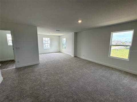 7252 Rolling Leaf Road, Groveland FL - photo 13 of 20