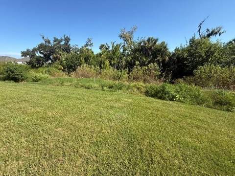 4321 Silver Birch Court, Palmetto FL - photo 10 of 40