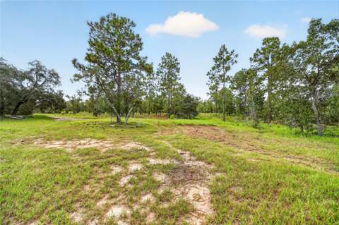 13291 SE 101st Place, Dunnellon FL - photo 22 of 71