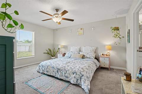 6671 Mineral Springs Road, New Port Richey FL - photo 23 of 41