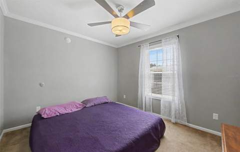37200 Neukom Avenue, Zephyrhills FL - photo 20 of 37