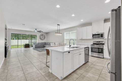 17651 Bright Wheat Drive, Lithia FL - photo 6 of 6