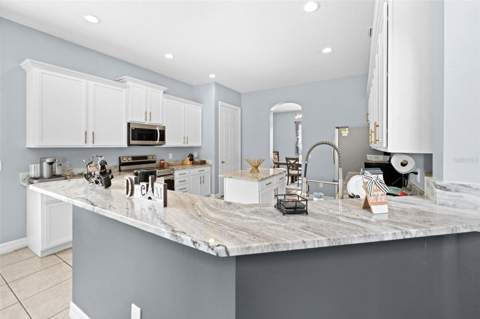 4501 Birchfield Loop, Spring Hill FL - photo 23 of 51