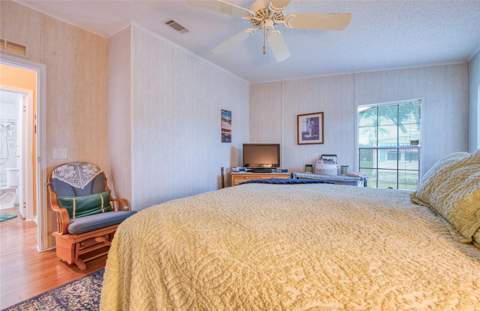 258 Pelican Drive, Oldsmar FL - photo 23 of 51