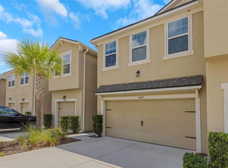 14203 DAMSELFLY DRIVE home for sale in Lakeview Citrus Park