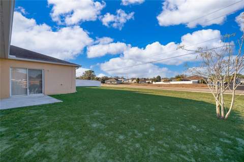 213 Big Black Drive, Kissimmee FL - photo 22 of 26
