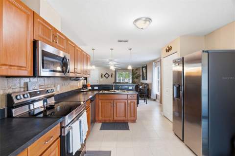 15544 Florida Breeze Loop, Wimauma FL - photo 6 of 40