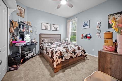 27537 Edenfield Drive, Wesley Chapel FL - photo 24 of 41
